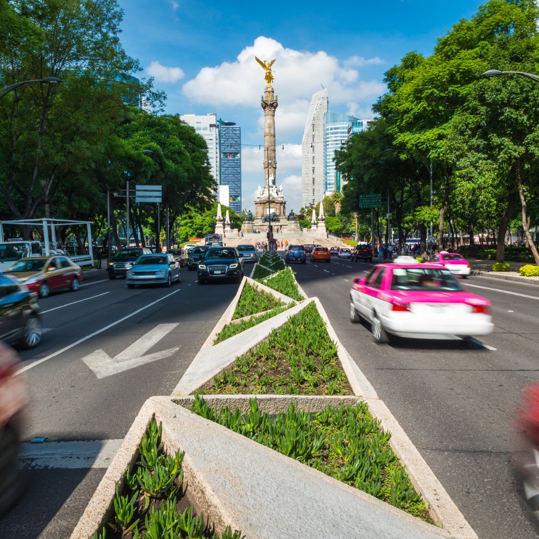 Servicio de inmobiliaria en la Ciudad de México, asesor mostrando propiedad